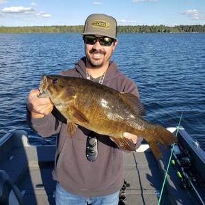 Meet your Posher, Terry